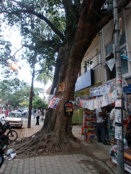 India Trip - July 2010 224.jpg